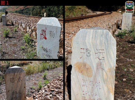 解锁吉鹿力问答社区,探索多大孩子才可以学素描?乐园!